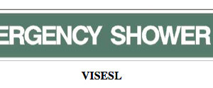 visesl